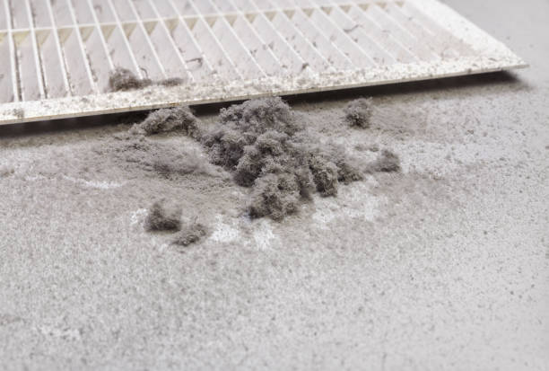 Best Ventilation Cleaning Services  in Keeler Farm, NM