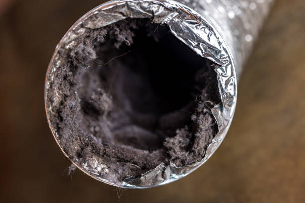 Best Best Air Duct Cleaning Company  in Keeler Farm, NM